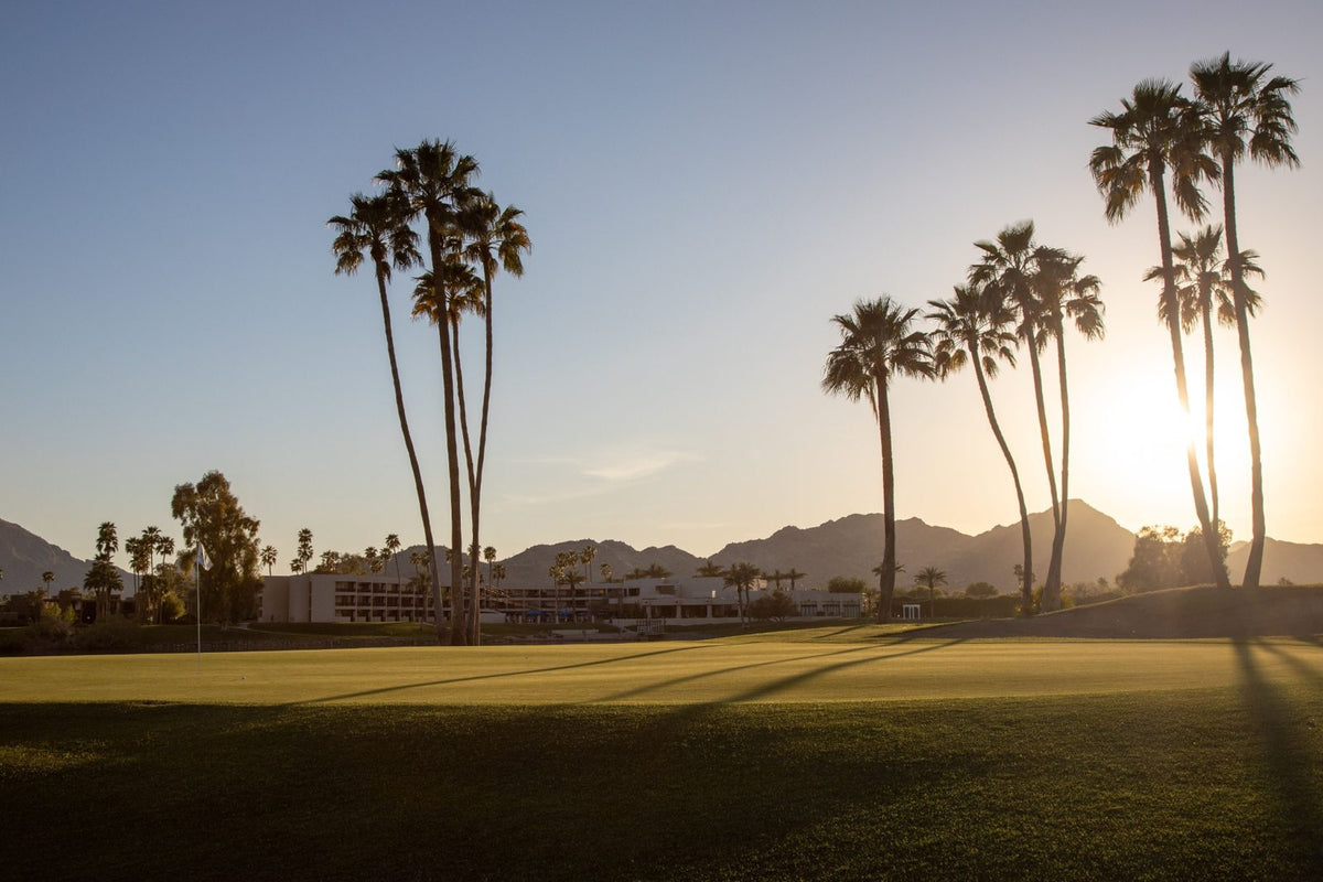 Palm-lined golf course overlooking a resort and mountains at sunset