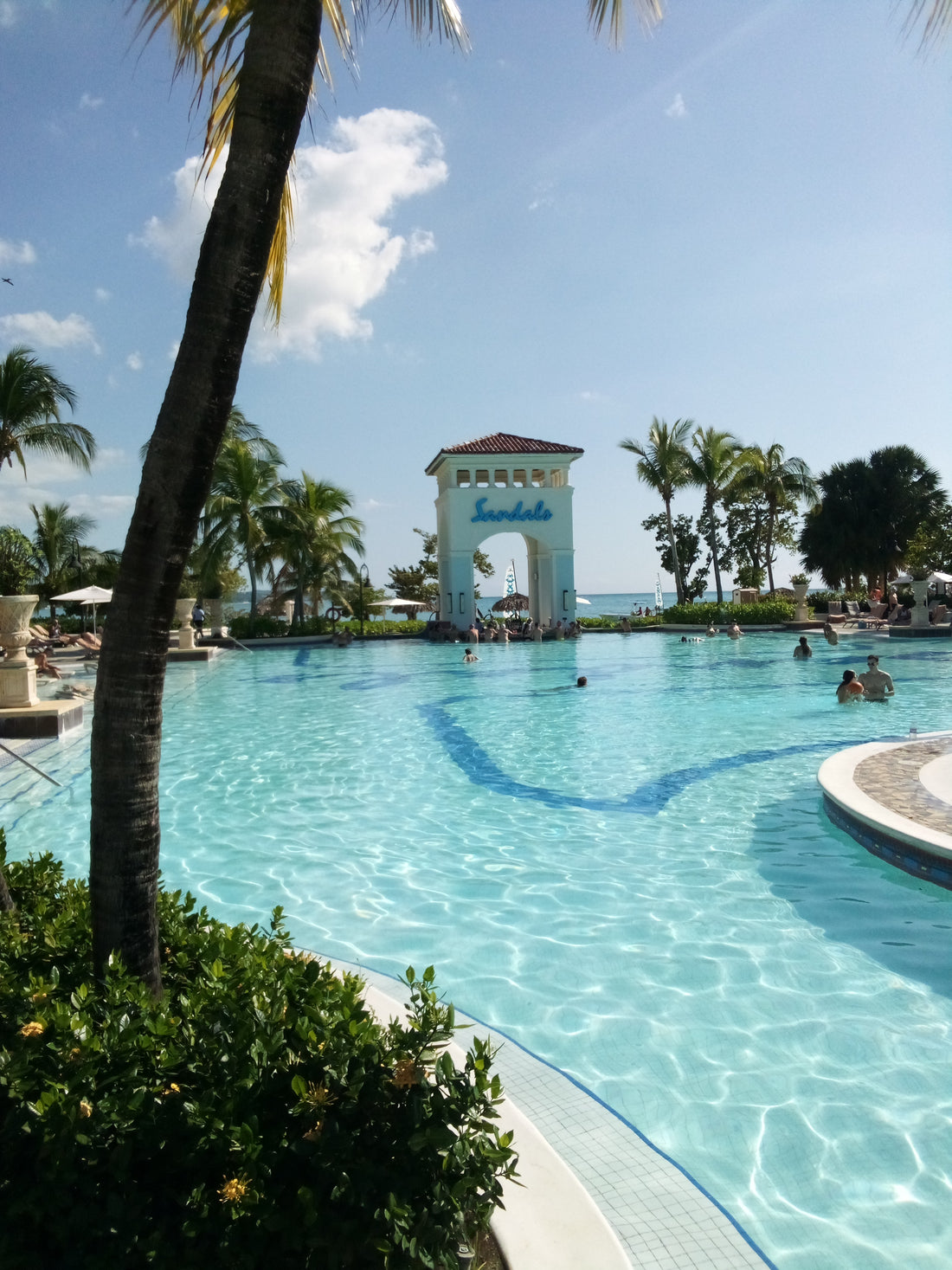 Pickleball in Whitehouse, Jamaica Guided Pickleball Trip In The